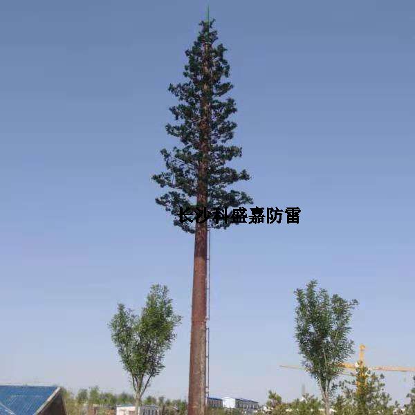 這是什么？看到圖先猜猜再進(jìn)來(lái)，猜對(duì)了的都是公雞中的戰(zhàn)斗機(jī)